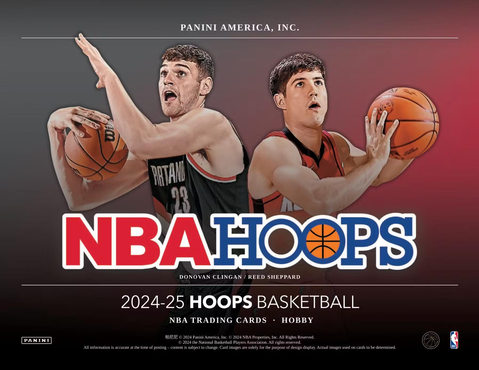 2024-25 Panini Prizm Hoops Hobby Box